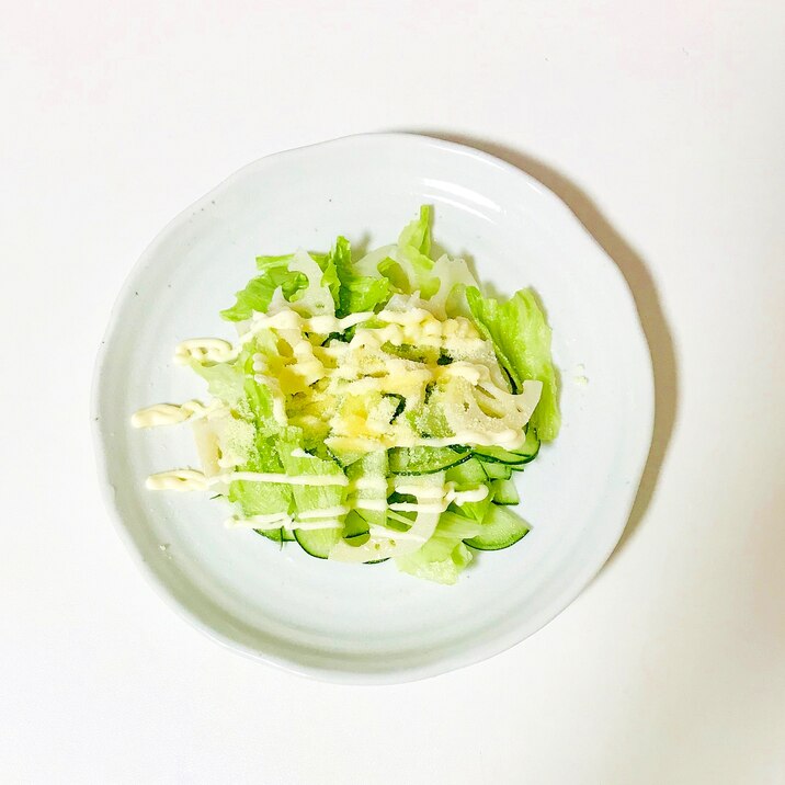 蓮根の入り生野菜サラダ